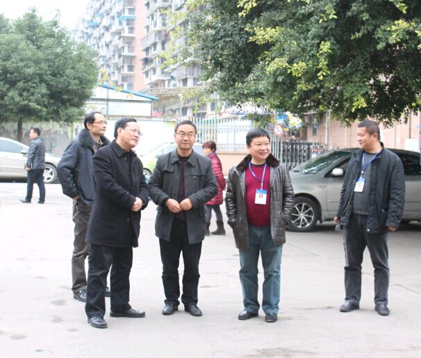 文化立校现场会1